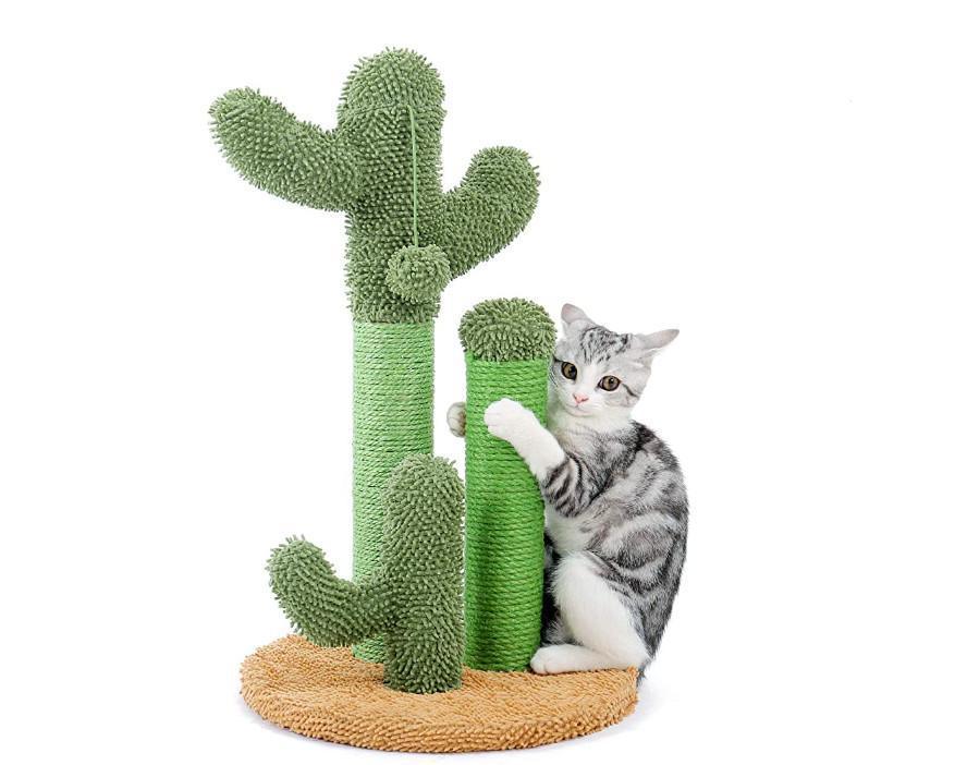 Top 5 Basic Cat Scratchers