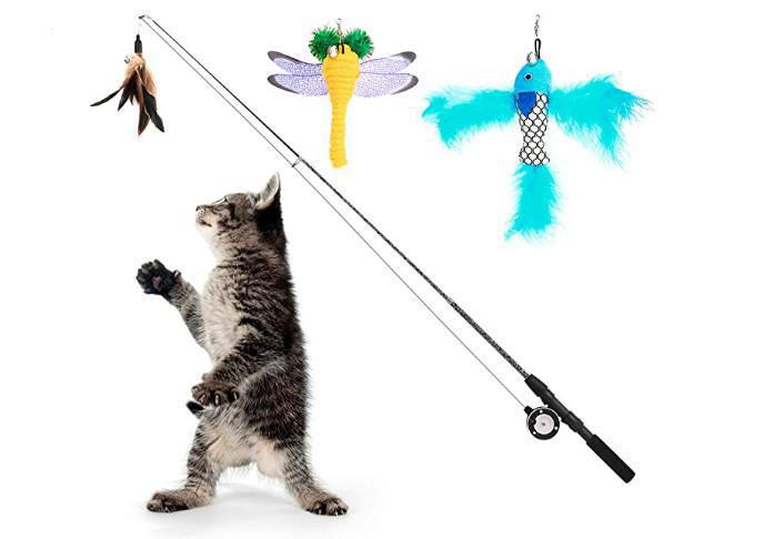 Retractable Wand/Fishing Pole/Suction Cup Teasers