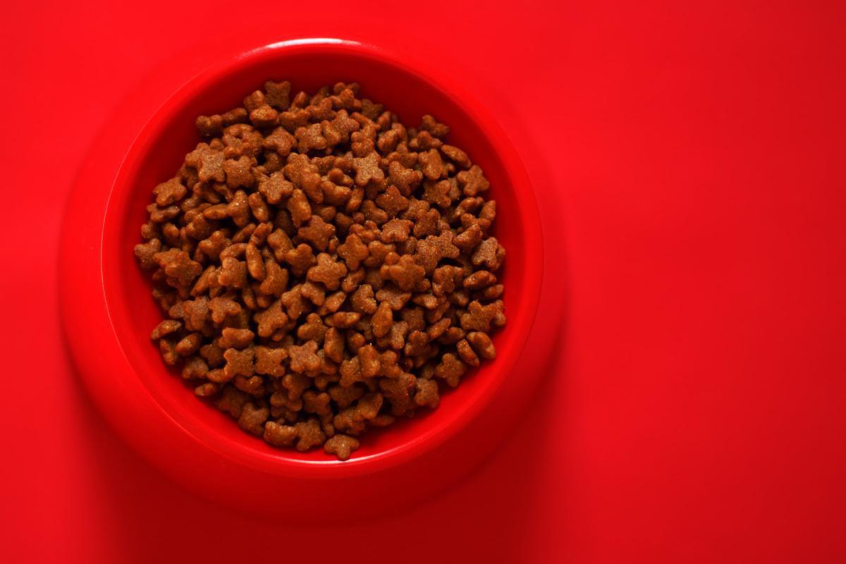 6 Reasons to Stop Free Feeding