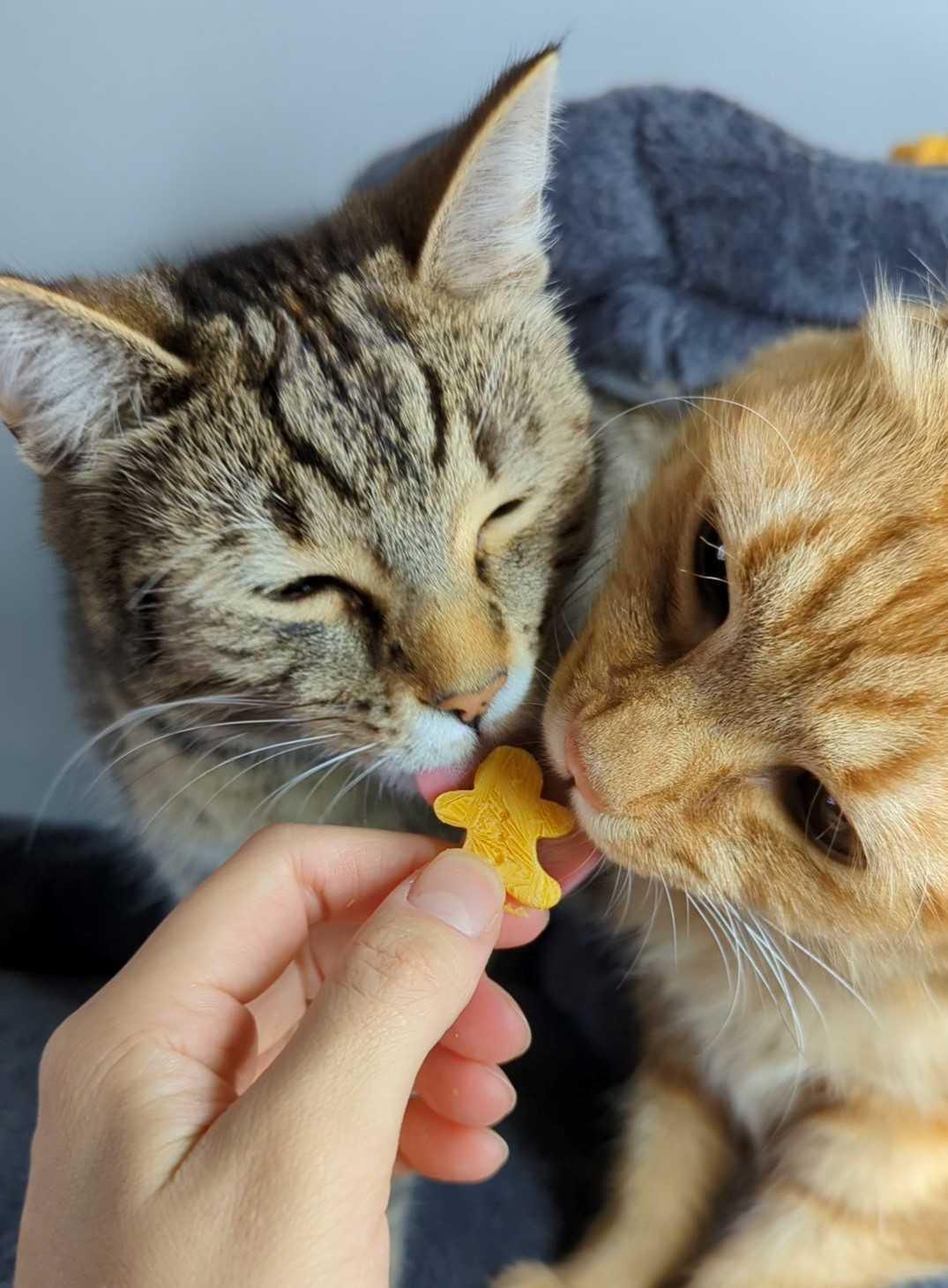 *Easy Frozen Pumpkin Treats (2-Ingredients)