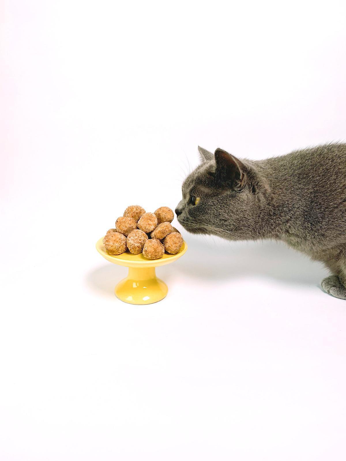 7 Steps to Transition from Free Feeding
