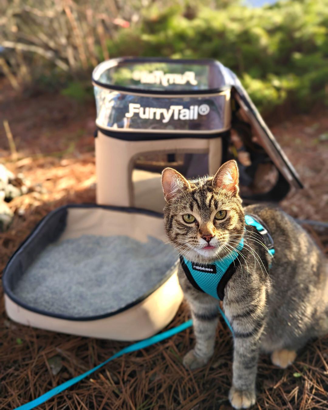 Furry Tail Cat Backpack