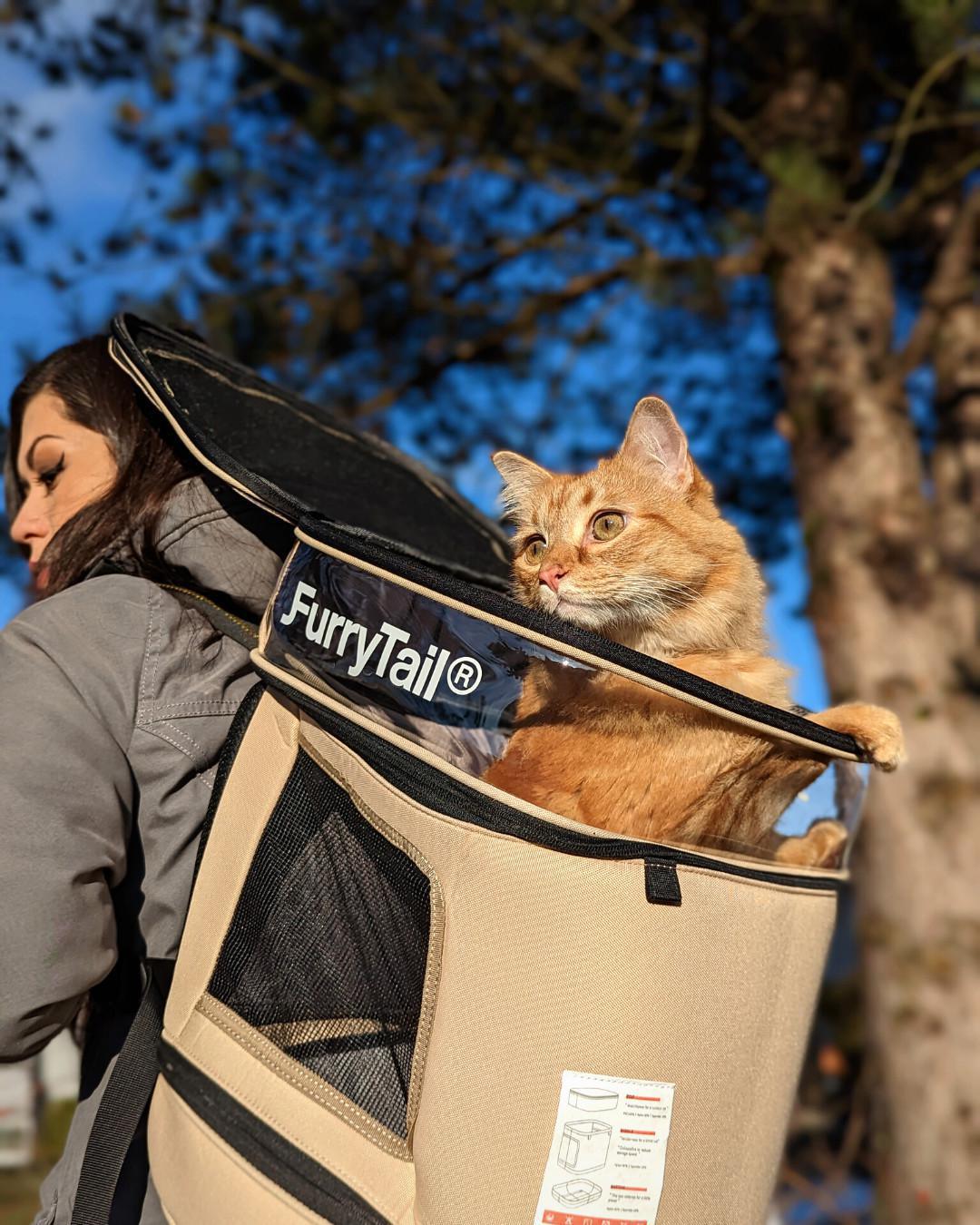 Furry Tail Cat Backpack