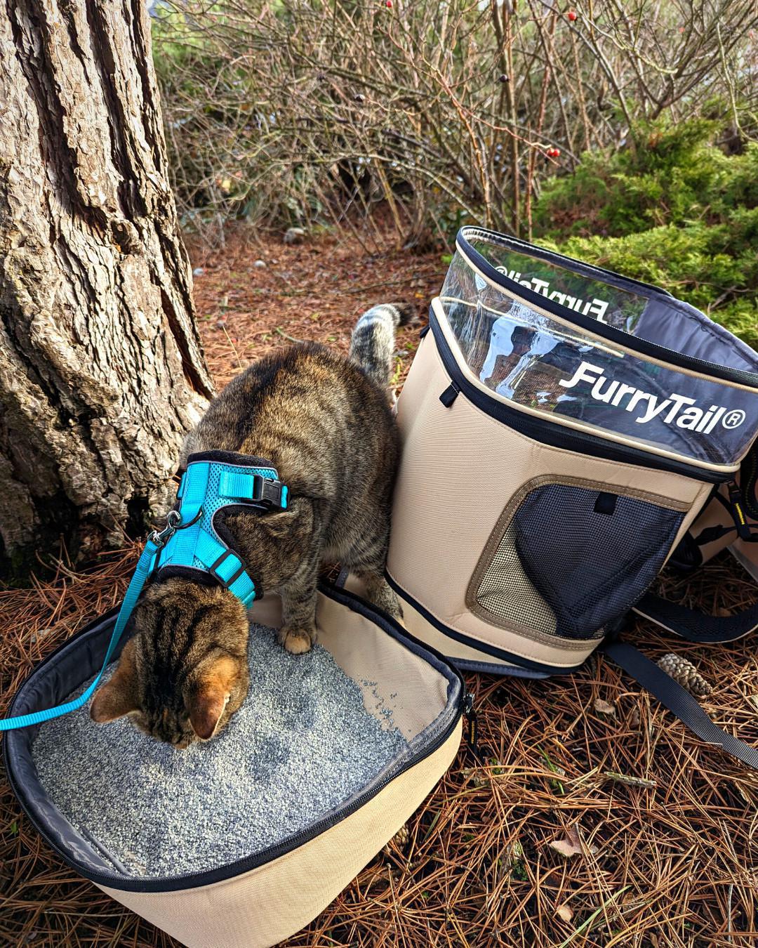 Furry Tail Cat Backpack