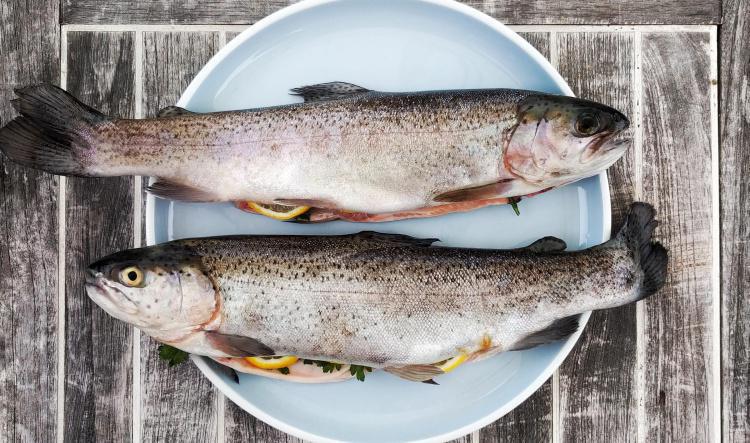 Trout & Egg Dinner