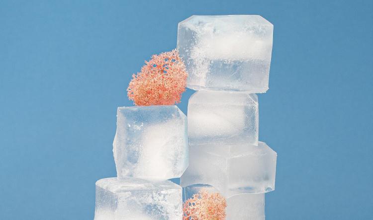 Tuna Ice Lollys