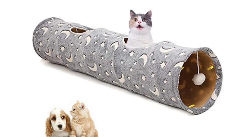 10 Best Cat Tunnels