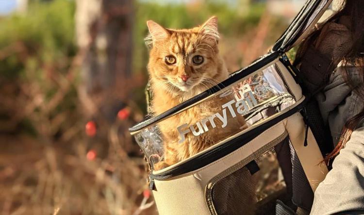 Furry Tail Cat Backpack
