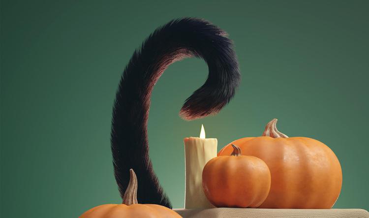 Cat Tail Language (NEW!)