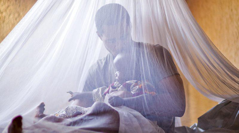 LA MILDA ET L'ERADICATION DU PALUDISME AU SENEGAL: ÇA BLOQUE AU SOMMET ET ÇA COGNE À LA BASE