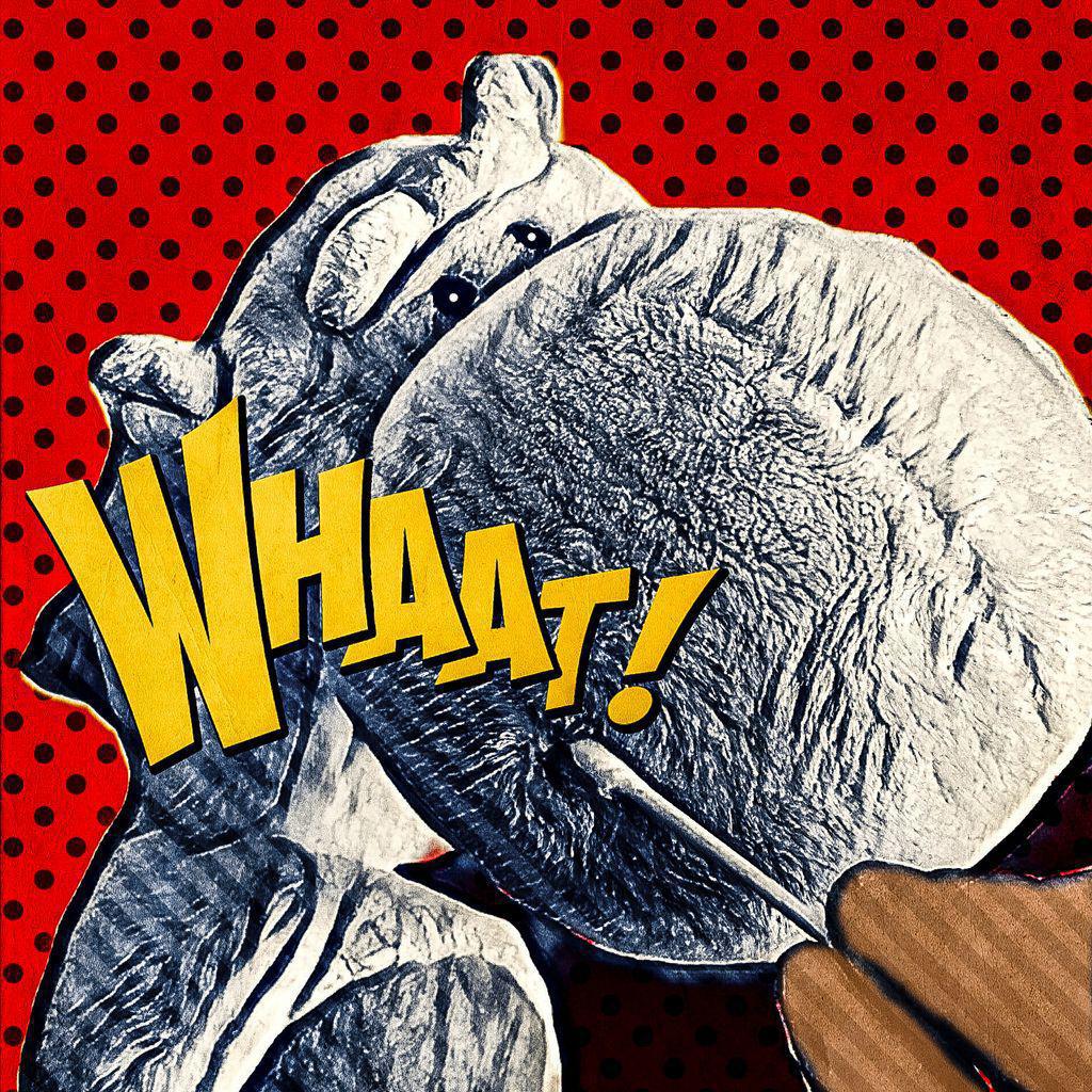 ZUM TITELBILD | SELBSTTEST-TEST ZUM TITELBILD | SELBSTTEST-TEST