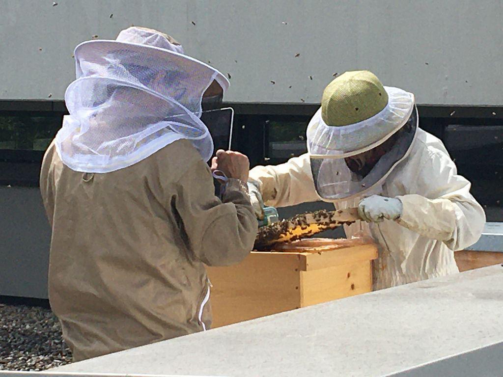 EIN MÜNCHNER FLAGGSCHIFF FÜR BNE STELLT SICH VOR EIN MÜNCHNER FLAGGSCHIFF FÜR BNE STELLT SICH VOR