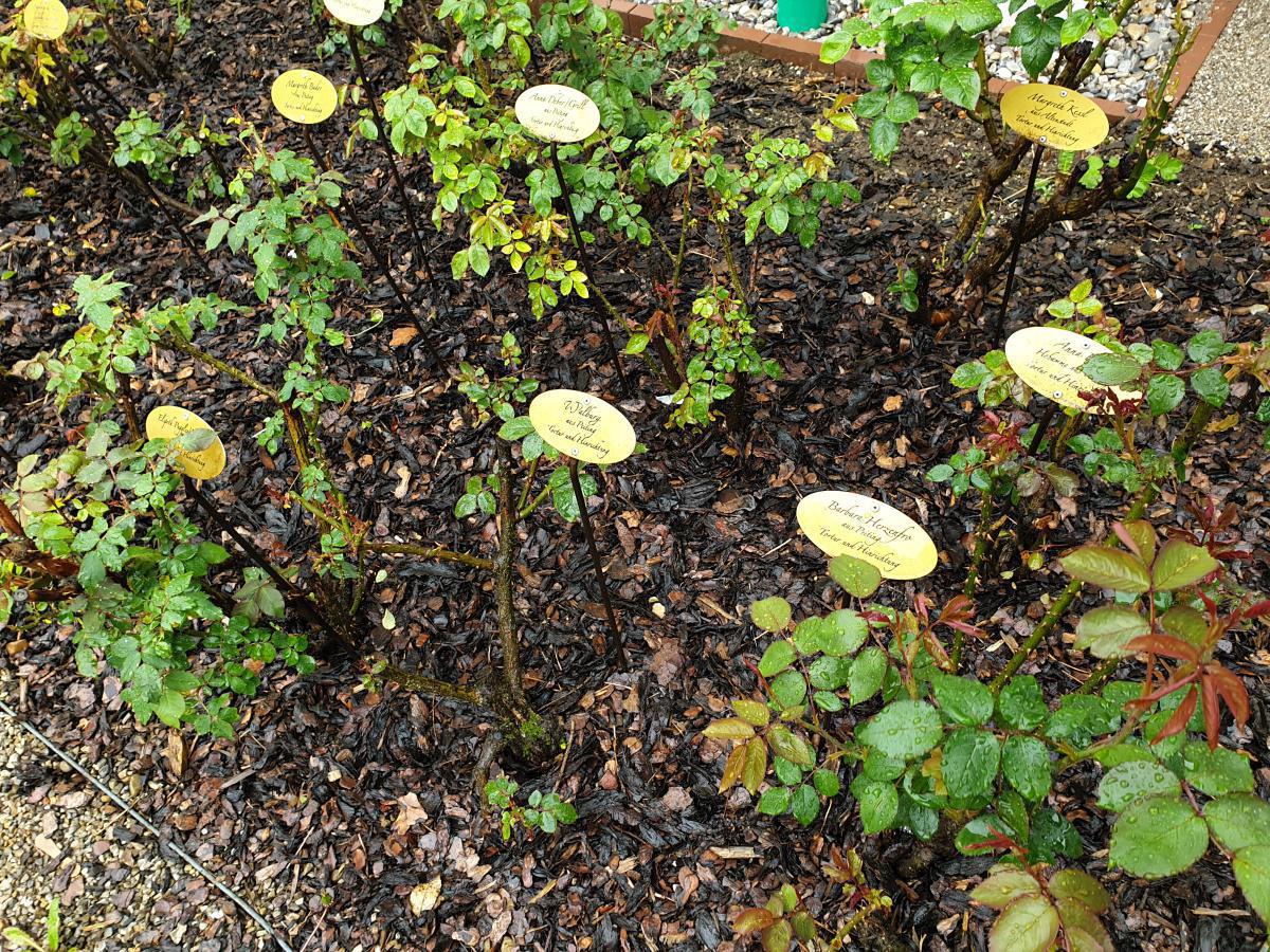 Henker – Heiler – Hexen – Geschichten aus dem Kräutergarten Henker – Heiler – Hexen – Geschichten aus dem Kräutergarten