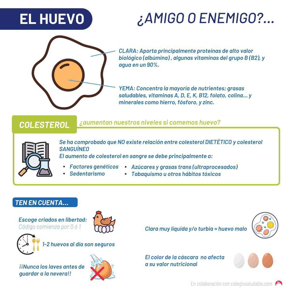 El huevo: ¿amigo o enemigo?