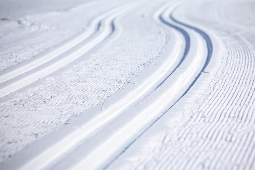 BSV-Cup & Helvetia Nordic Trophy - Loipensperrungen BSV-Cup & Helvetia Nordic Trophy - Loipensperrungen