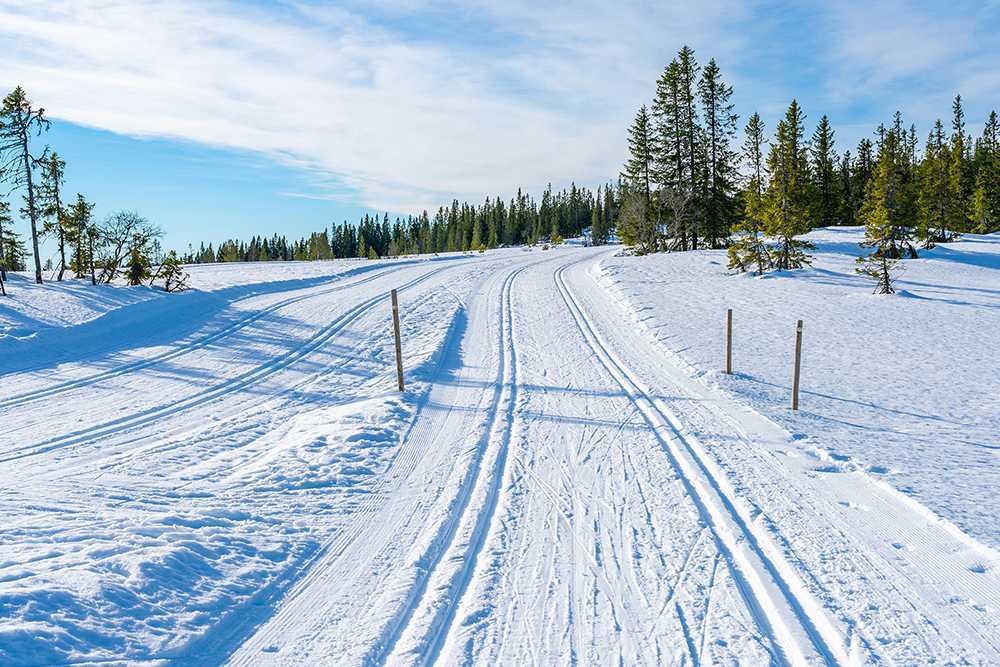 Langlaufreise 2026: Es geht nach Norwegen! Langlaufreise 2026: Es geht nach Norwegen!