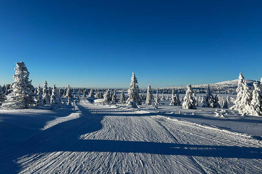 Eine Woche im Winterparadies