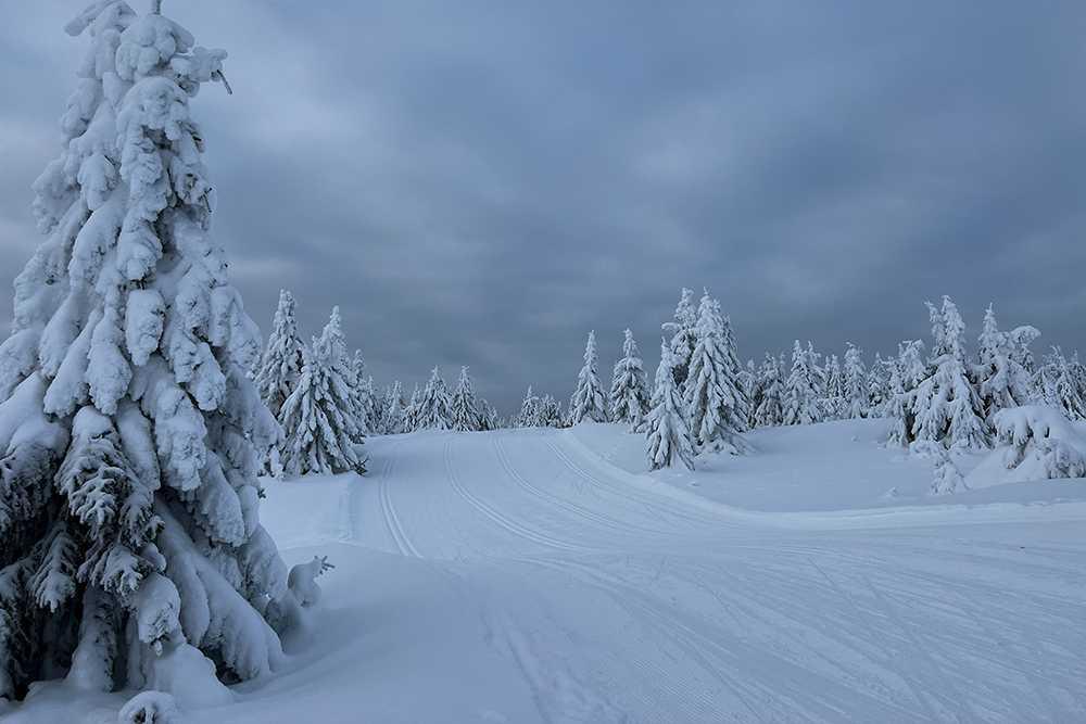 Eine Woche im Winterparadies Eine Woche im Winterparadies