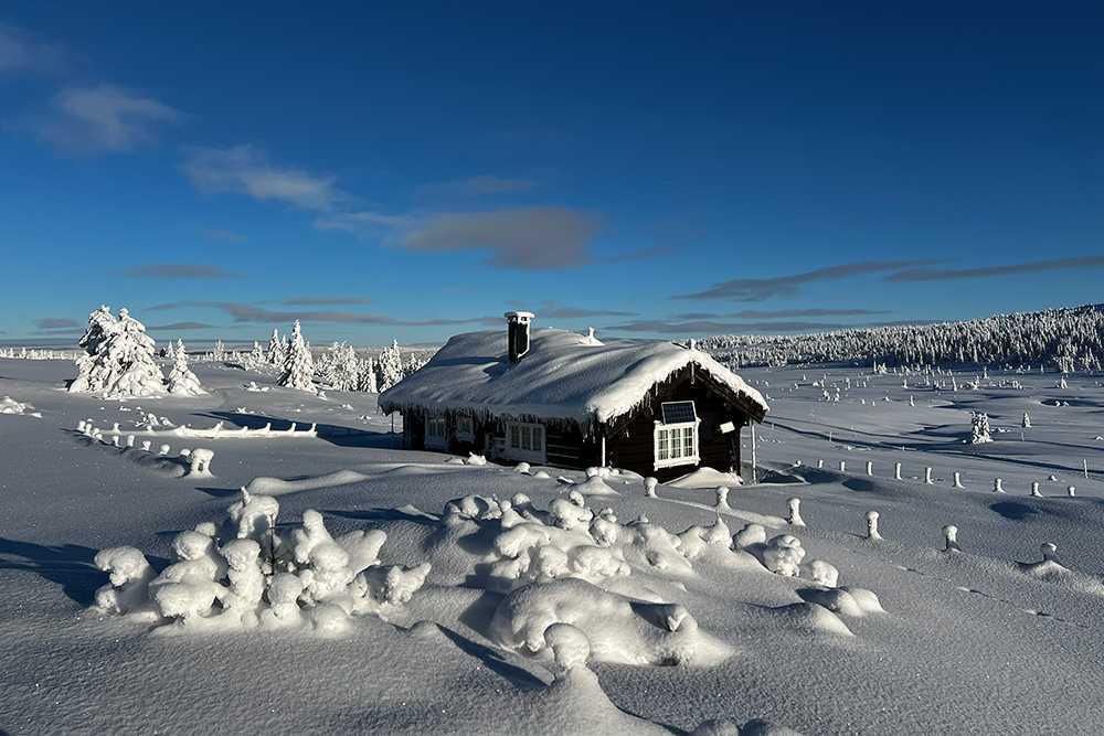 Eine Woche im Winterparadies Eine Woche im Winterparadies