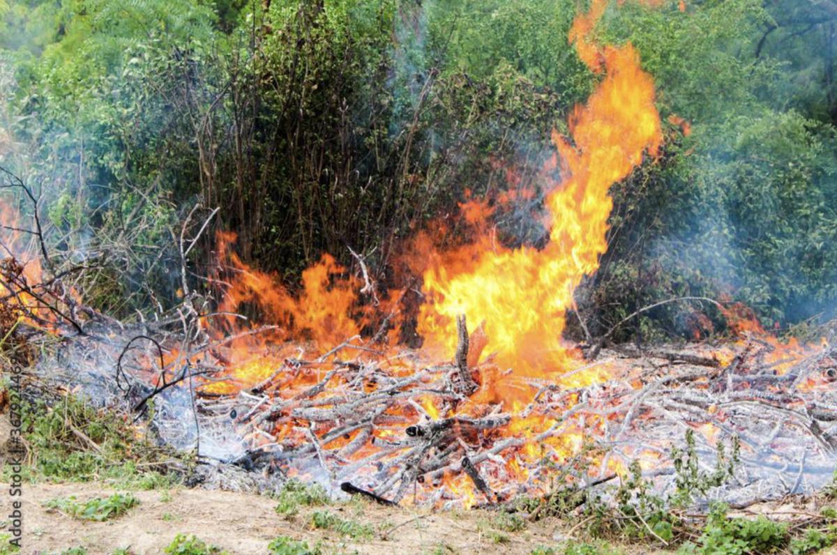 Débroussaillement : que disent le code et les arrêtés ? Débroussaillement : que disent le code et les arrêtés ?