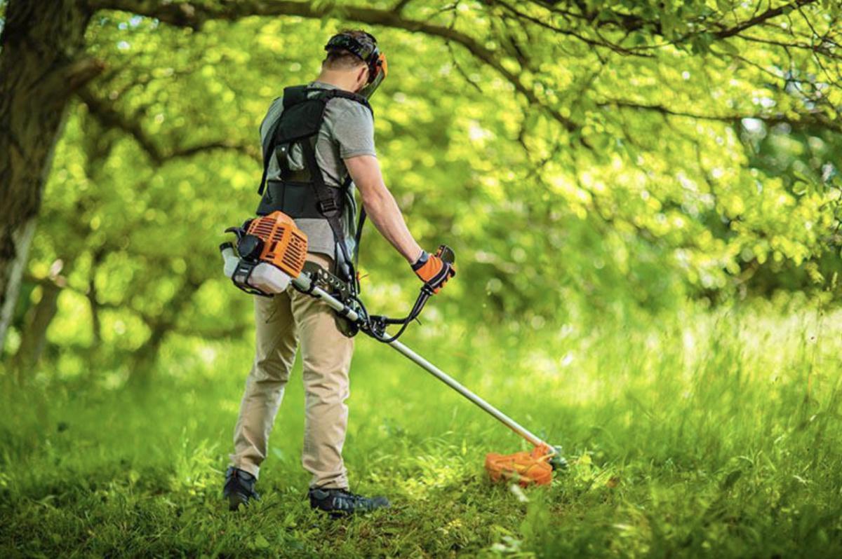 Attention aux haies! Attention aux haies!