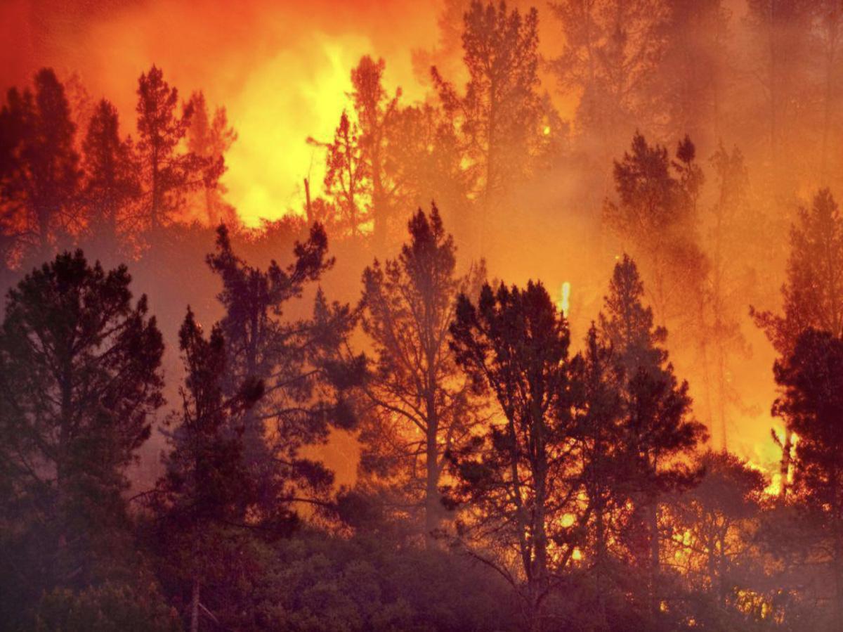 Le feu arrive chez vous Le feu arrive chez vous