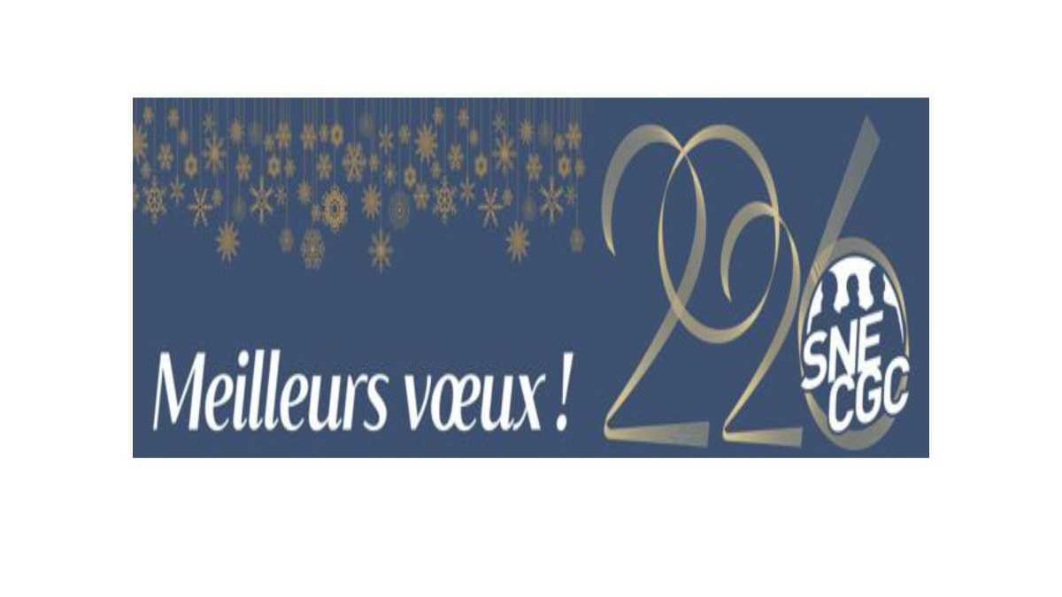 Meilleurs Voeux 2026