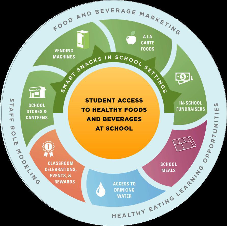 BIENVENID@ AL DEPARTAMENTO DE NUTRICIÓN DE SANO BIENVENID@ AL DEPARTAMENTO DE NUTRICIÓN DE SANO
