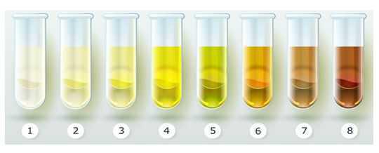 ALIMENTACIÓN: TIPS PRÁCTICOS EN EL DÍA A DÍA ALIMENTACIÓN: TIPS PRÁCTICOS EN EL DÍA A DÍA