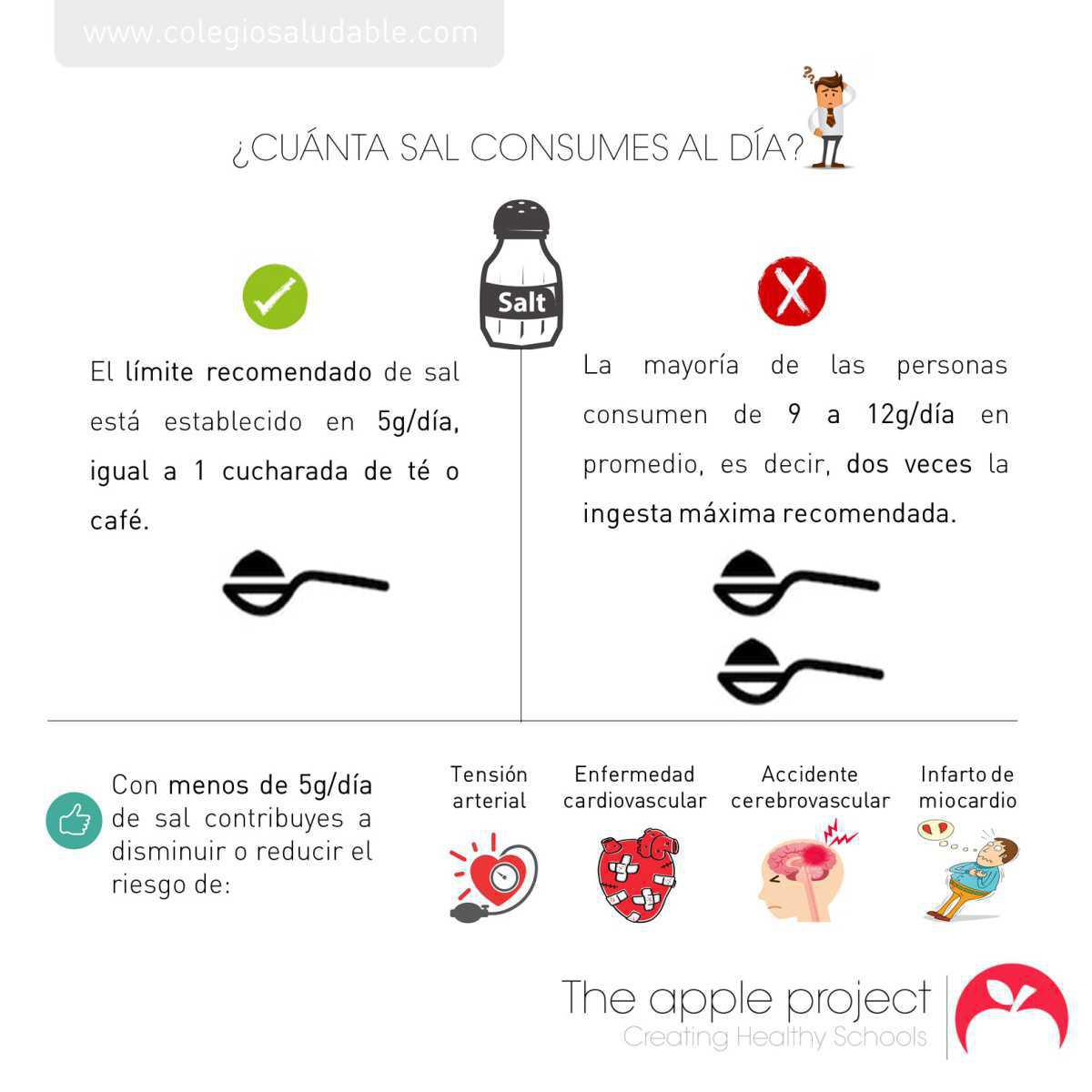 ALIMENTACIÓN.-RECOMENDACIONES GENERALES