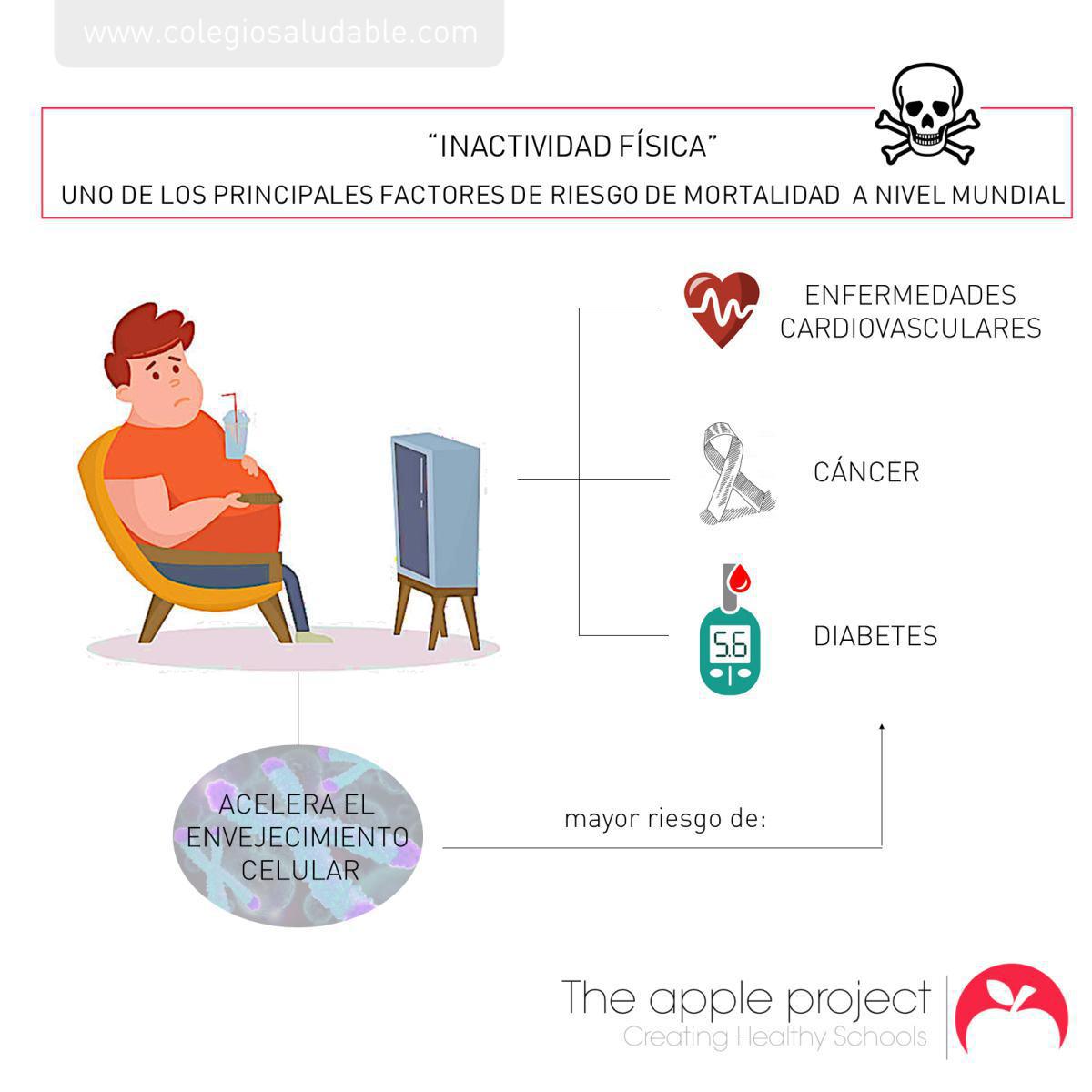 CONSEJOS GENERALES SOBRE VIDA ACTIVA CONSEJOS GENERALES SOBRE VIDA ACTIVA
