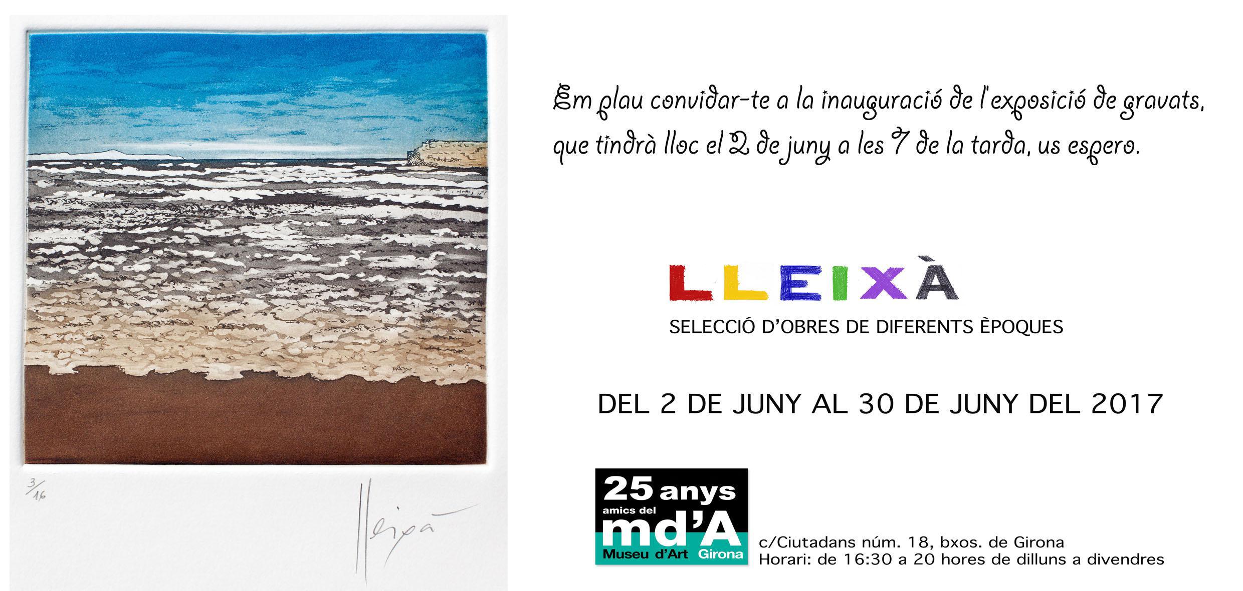 Exposició au Musée d'Art de  GIRONA de Daniel LLEIXA