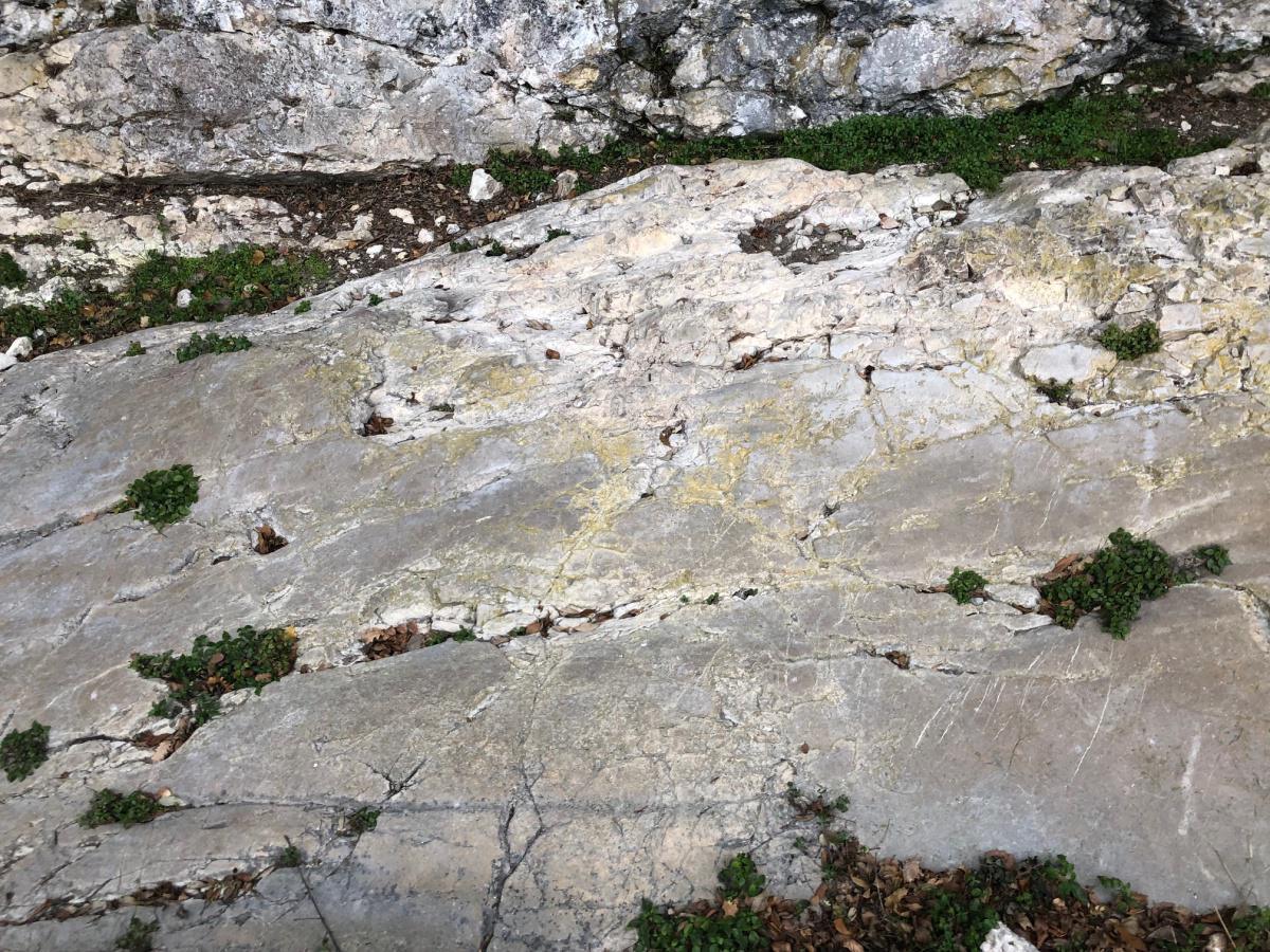 Incisioni rupestri di Pianaura Incisioni rupestri di Pianaura