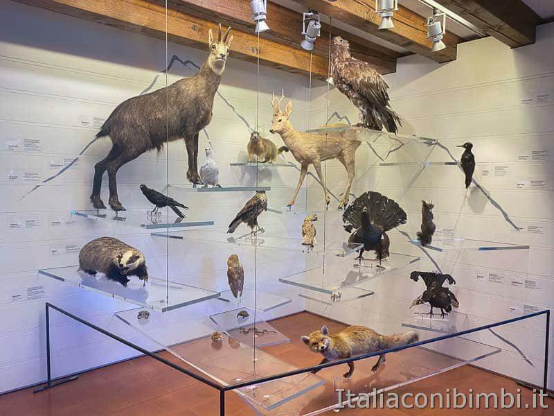 Museo di Storia Naturale Museo di Storia Naturale