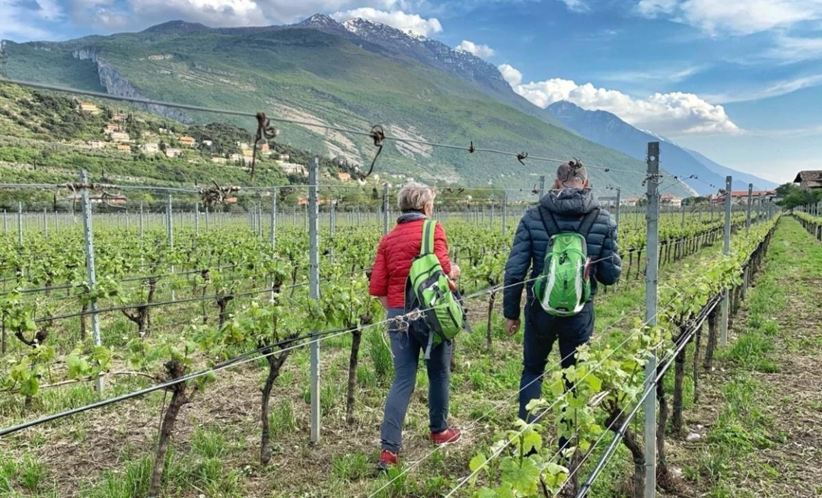 DiVinNosiola DiVinNosiola