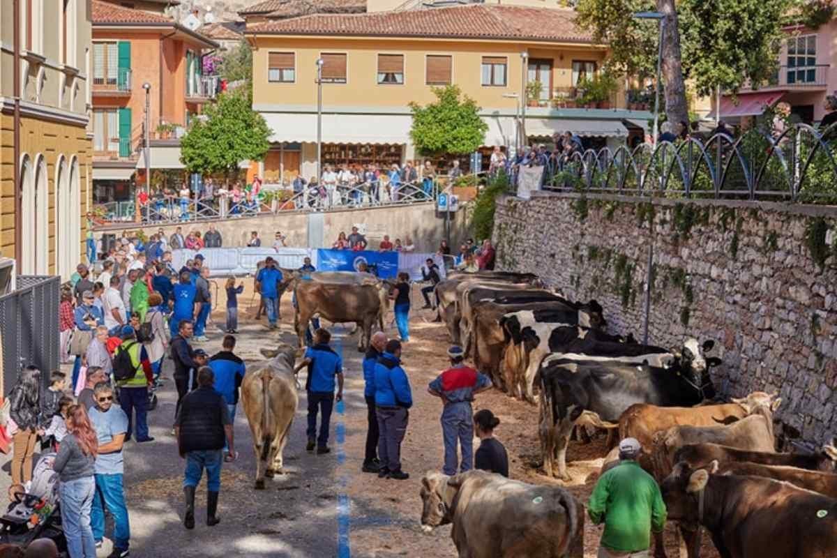 FESTA DELLA MONTAGNA FESTA DELLA MONTAGNA