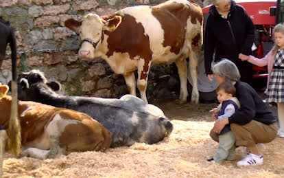 FESTA DELLA MONTAGNA FESTA DELLA MONTAGNA