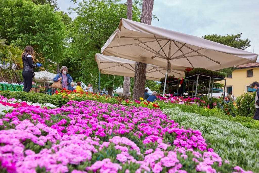 Malcesine in fiore Malcesine in fiore
