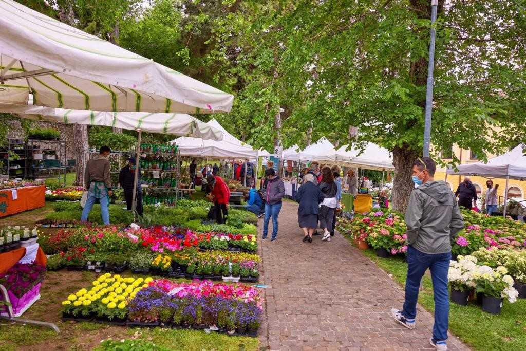 Malcesine in fiore Malcesine in fiore