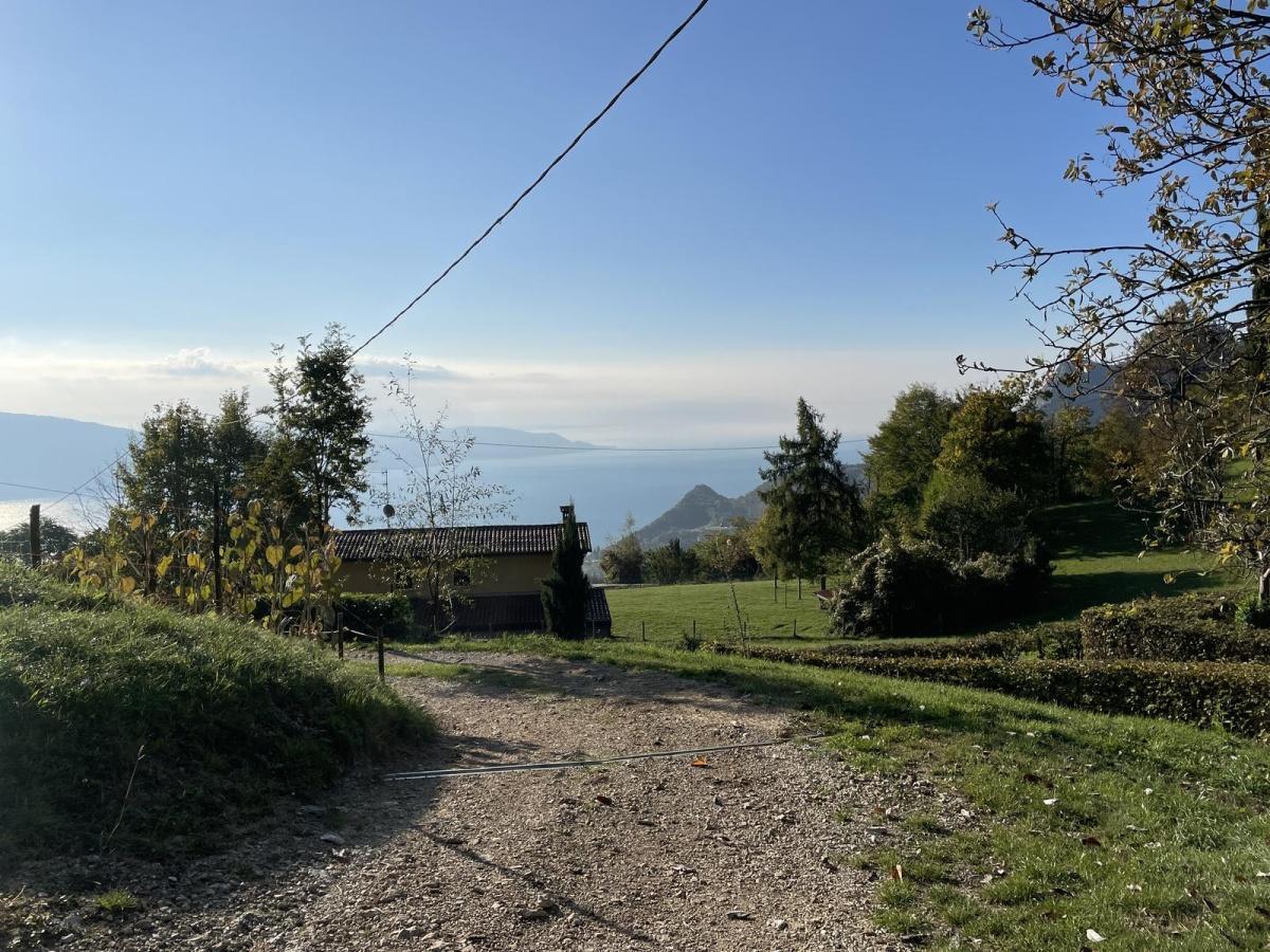 Bogliaco - Briano Bogliaco - Briano