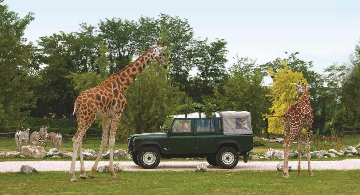 Parco Natura Viva Parco Natura Viva