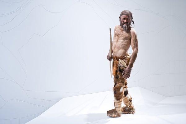 Ötzi - Museo Archeologico dell'Alto Adige Ötzi - Museo Archeologico dell'Alto Adige