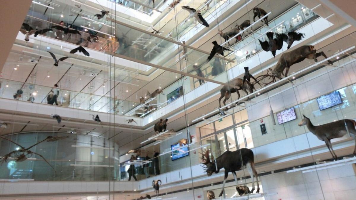 MUSE - Museo delle Scienze MUSE - Museo delle Scienze