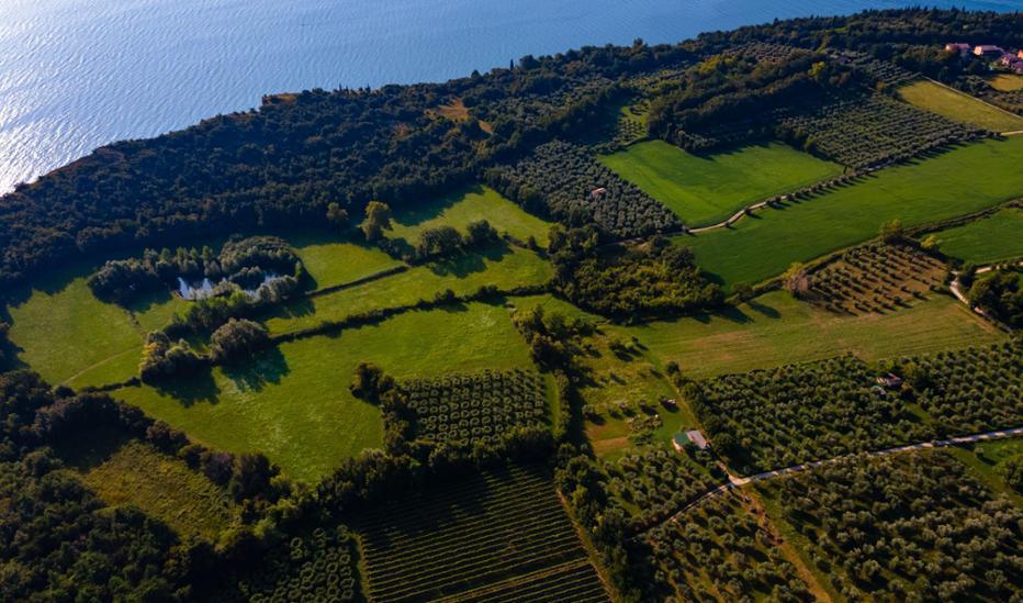 Ciclovia del Groppello - da Salò a Maguzzano di Lonato Ciclovia del Groppello - da Salò a Maguzzano di Lonato