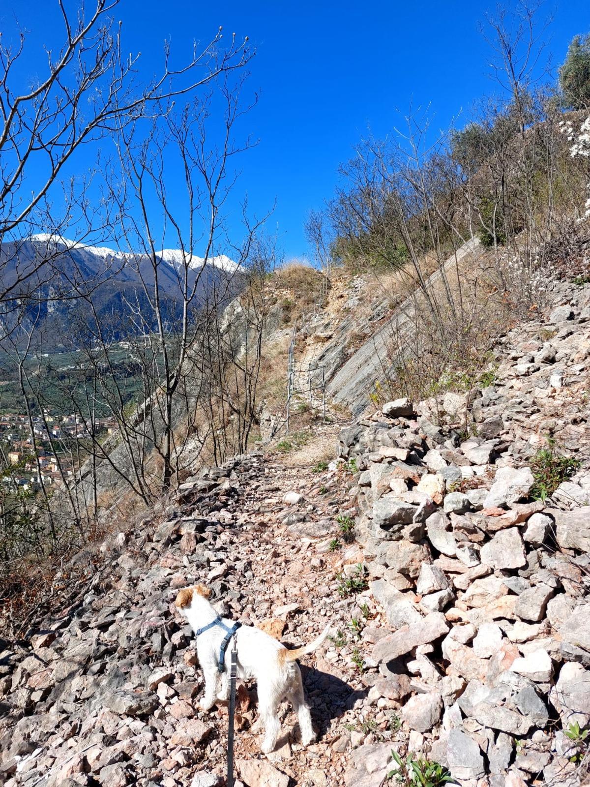 Arco - Anello Coste del Baone Arco - Anello Coste del Baone