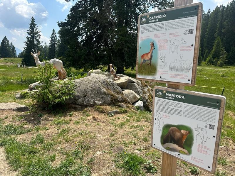 Junior Park Madonna di Campiglio Junior Park Madonna di Campiglio