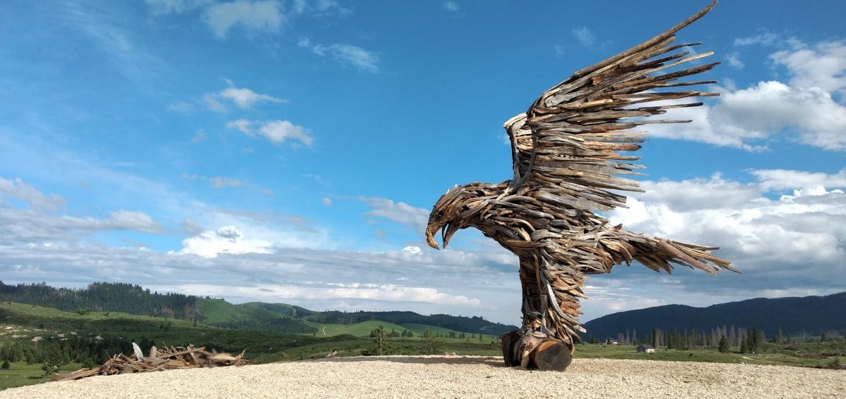 L'aquila Vaia di Marcesina L'aquila Vaia di Marcesina