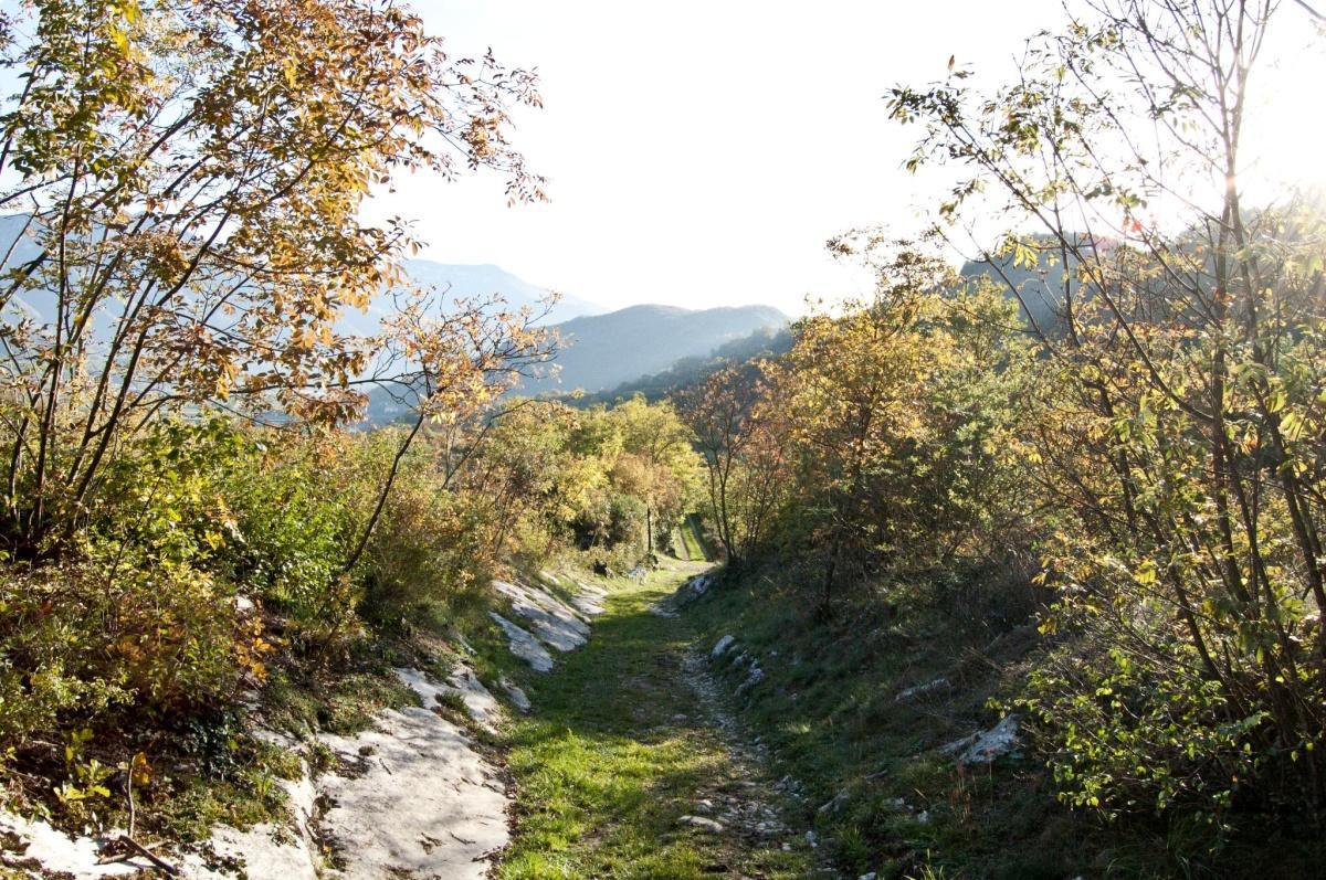 ALLA SCOPERTA DELLA VALLE DI CAVEDINE ALLA SCOPERTA DELLA VALLE DI CAVEDINE