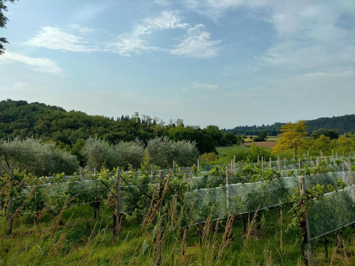 Laghi Di Sovenigo da Polpenazze del Garda Laghi Di Sovenigo da Polpenazze del Garda