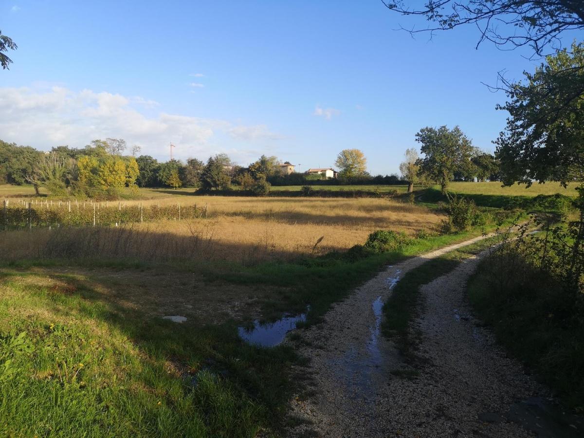 Passeggiata sul Garda: Dall’Abbazia di Maguzzano al Castello di Padenghe (circa 4 km solo andata) Passeggiata sul Garda: Dall’Abbazia di Maguzzano al Castello di Padenghe (circa 4 km solo andata)